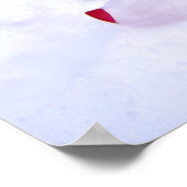 Wilder Schneekater Poster (Ecke)