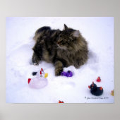 Wilder Schneekater Poster (Vorne)