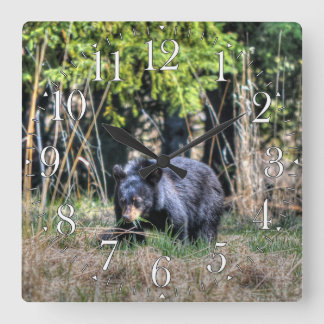 Wilder Schwarzbär-Cub & Forest Wildlife Foto Clock Quadratische Wanduhr