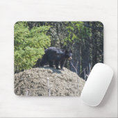Wilder Schwarzbär Cub & Mud Hill Wildlife Foto Ges Mousepad (Mit Mouse)