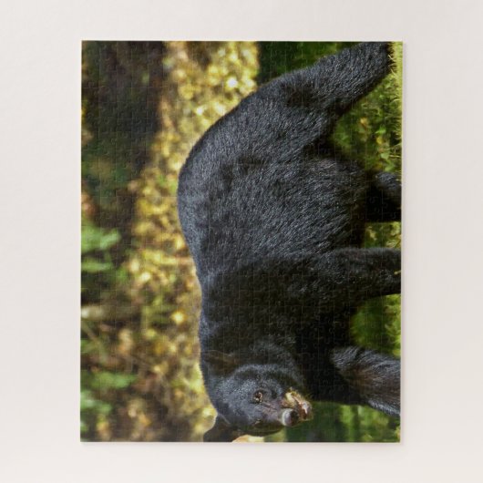 Wilder Schwarzbär. Puzzle (Vertikal)