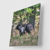 Wilder Schwarzbär und Wald Foto Wildtiere Uhr (Winkel)