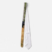 Wilder Schwarzbär & Yukon Forest Foto Kunst, Dicht Krawatte (Rückseite)