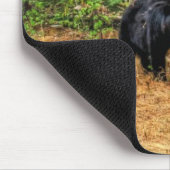 Wilder Schwarzbär & Yukon Forest Foto Kunst, Dicht Mousepad (Ecke)