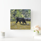 Wilder schwarzer Bär u. kanadische WaldFoto-Kunst Quadratische Wanduhr (Zuhause)