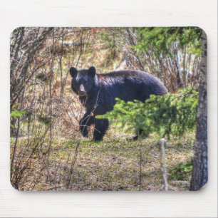 Wilder Schwarzer Bär und Bäume Wildlife Foto Mousepad