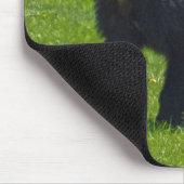 Wilder Schwarzer Bär und Gras Wildlife Foto Mousepad (Ecke)