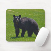 Wilder Schwarzer Bär und Gras Wildlife Foto Mousepad (Mit Mouse)