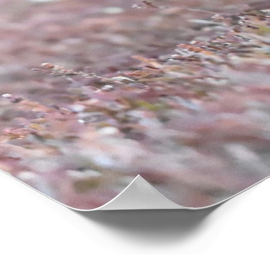 Wilder Schwarzer Grouse Poster (Ecke)