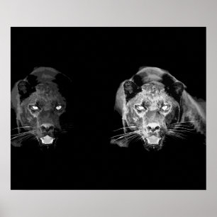 Wilder Schwarzer Jaguar Katzen Augen Poster