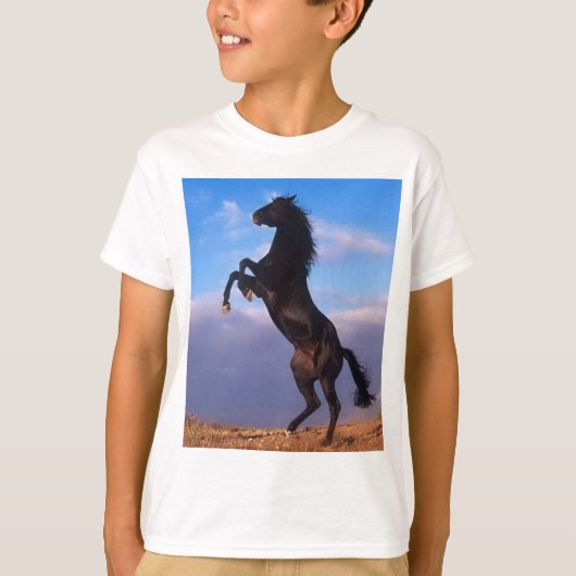 Wilder schwarzer Stallion, der Pferd züchtet T-Shirt (Vorderseite)