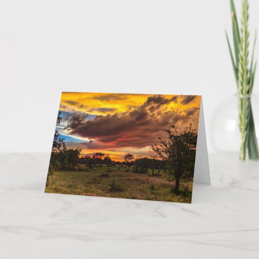 Wilder Sonnenuntergang, Südafrika Feiertagskarte (Vorderseite)