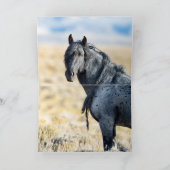 Wilder Stallion der Roten Wüste - Grußkarte Dankeskarte (Innenseite)