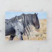Wilder Stallion der Roten Wüste - Grußkarte Karte (Innenseite)