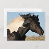 Wilder Stallion Postcard Postkarte (Vorne/Hinten)