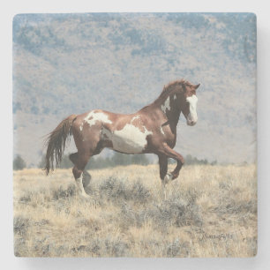 Wilder Stallions-Untersetzer Steinuntersetzer