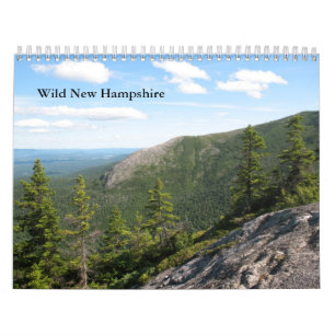 Wilder Standardwandkalender des New Hampshire-2013 Kalender