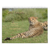 Wilder Tansania-Kalender Kalender (Titelbild)