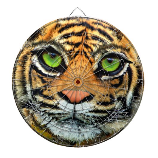 Wilder Tiger Dart Board Dartscheibe (vorne)