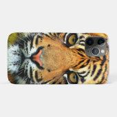 Wilder Tiger Gesicht Case-Mate iPhone Hülle (Rückseite (Horizontal))