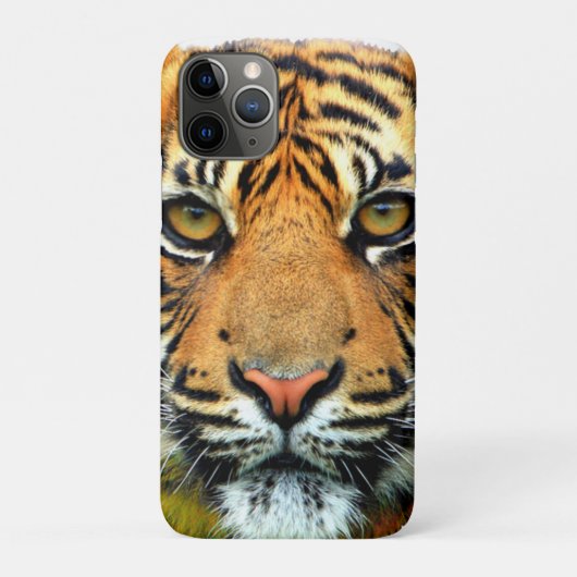 Wilder Tiger Gesicht Case-Mate iPhone Hülle (Rückseite)