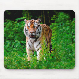 Wilder Tiger im Dschungel Mousepad