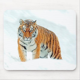 Wilder Tiger im Schnee Mousepad