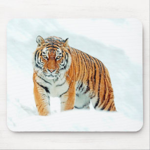 Wilder Tiger im Schnee Mousepad