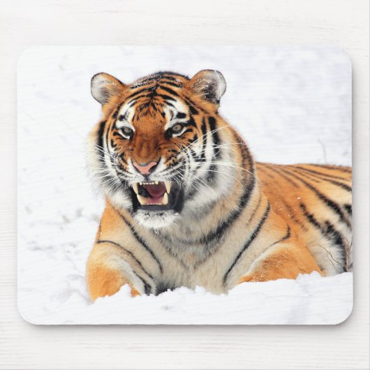 Wilder Tiger im Schnee Mousepad (Vorne)