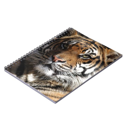 Wilder Tiger Notizblock (Linke Seite)