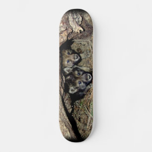 Wilder Timberwolf-Zwilling CUB in der Höhle Skateboard