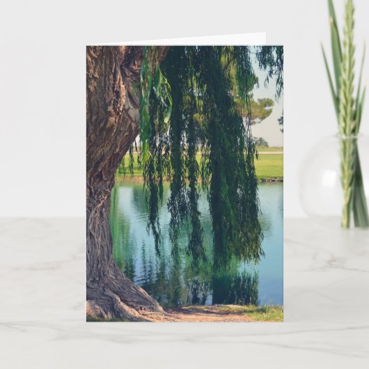 Wilder Tree am Lago Grußkarte Karte (Vorderseite)