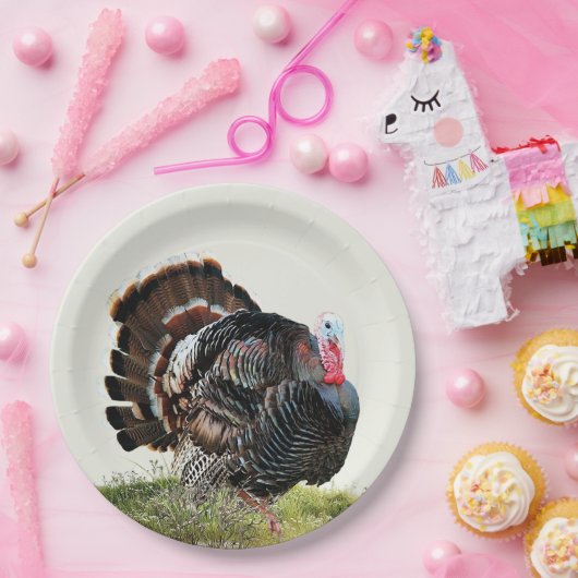 Wilder Truthahn Pappteller (Party)