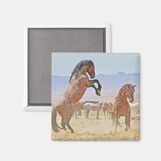 Wilder und freier Magnet (Vorderseite/Rückseite)