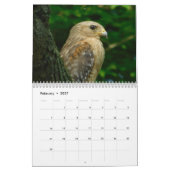 Wilder Vogel-Ohio-Kalender Kalender (Feb 2027)