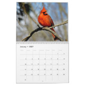 Wilder Vogel-Ohio-Kalender Kalender (Jan 2027)
