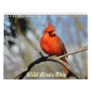 Wilder Vogel-Ohio-Kalender Kalender