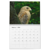 Wilder Vogel-Ohio-Kalender Kalender (Feb 2026)