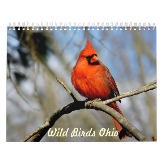 Wilder Vogel-Ohio-Kalender Kalender (Titelbild)