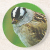 Wilder Vogel - Weiß gekrönter Lied-Spatz Getränkeuntersetzer (Vorne)