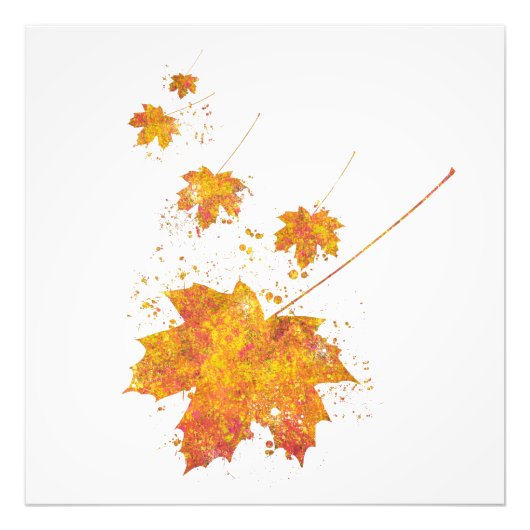 Wilder Wald Natur Erde V Fotodruck (Vorne)