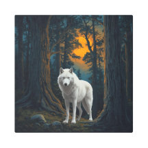 Wilder Weißer Wolf im Mondlicht Waldtier