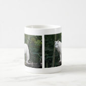 Wilder weißer Wolf Kaffeetasse (Mittel)