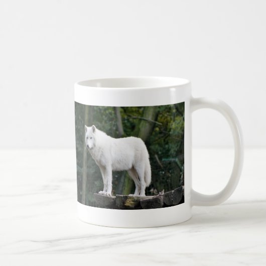 Wilder weißer Wolf Kaffeetasse (Rechts)