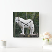 Wilder weißer Wolf Quadratische Wanduhr (Zuhause)