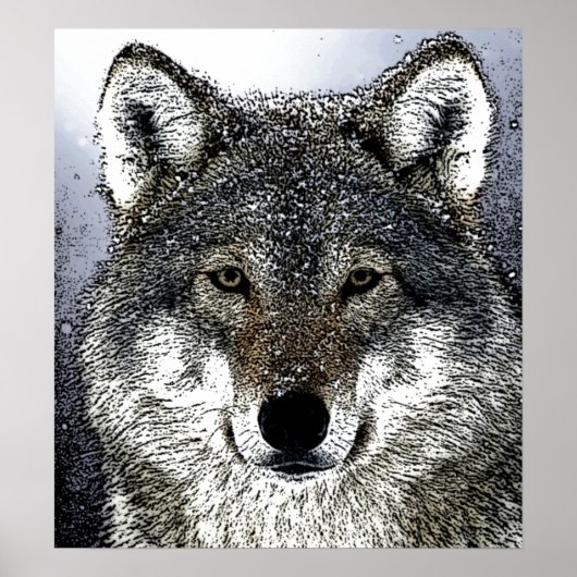 Wilder Wolf im Schneeballgedicht Poster Print (Vorne)