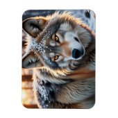 Wilder Wolf im Winter Magnet (Vertikal)