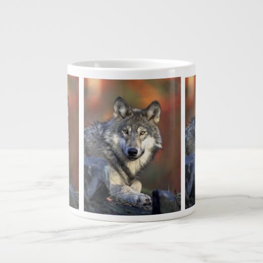 wilder Wolf Jumbo-Tasse (Vorderseite)