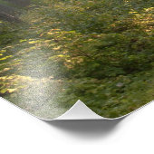 Wilderness Drive, Itasca Staat Park, Fotodruck (Ecke)