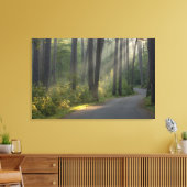 Wilderness Drive, Itasca Staat Park, Leinwanddruck (Insitu (Wohnzimmer))